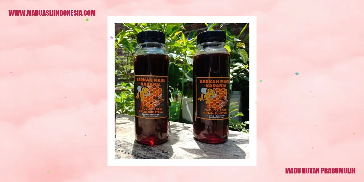 Madu Hutan Prabumulih