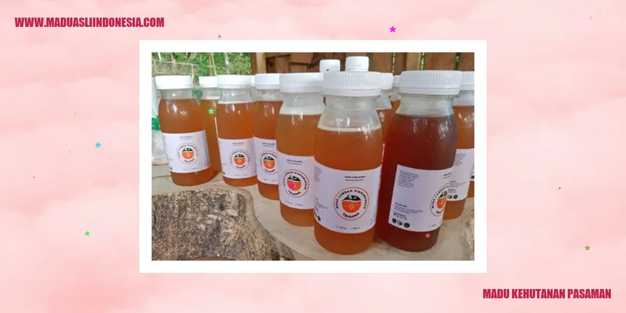 Madu Kehutanan Pasaman