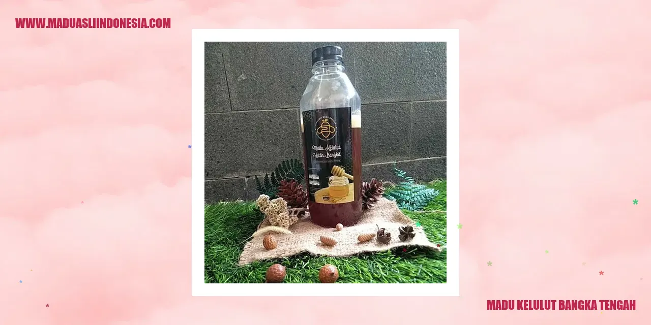 Gambar Madu Kelulut Bangka Tengah