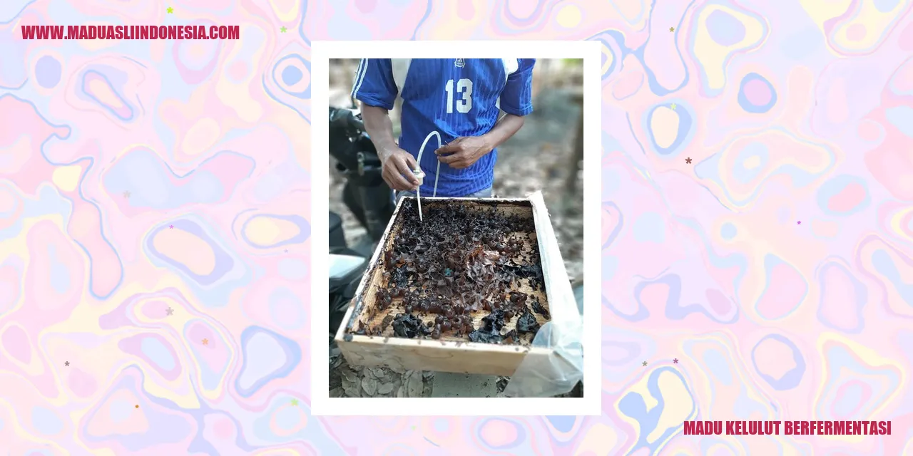 Gambar Madu Kelulut Berfermentasi