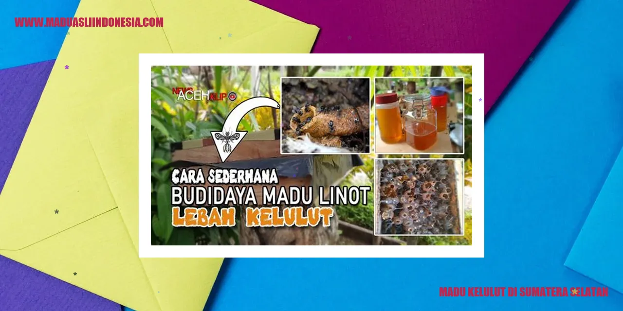 Madu Kelulut di Sumatera Selatan