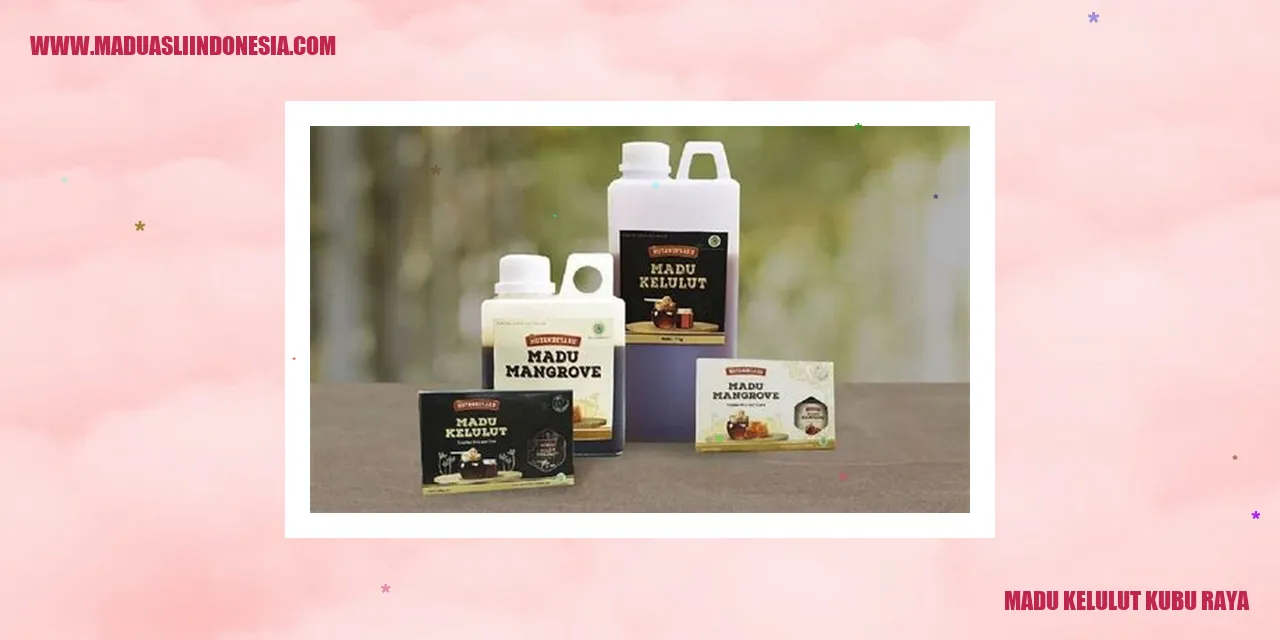 Madu Kelulut Kubu Raya