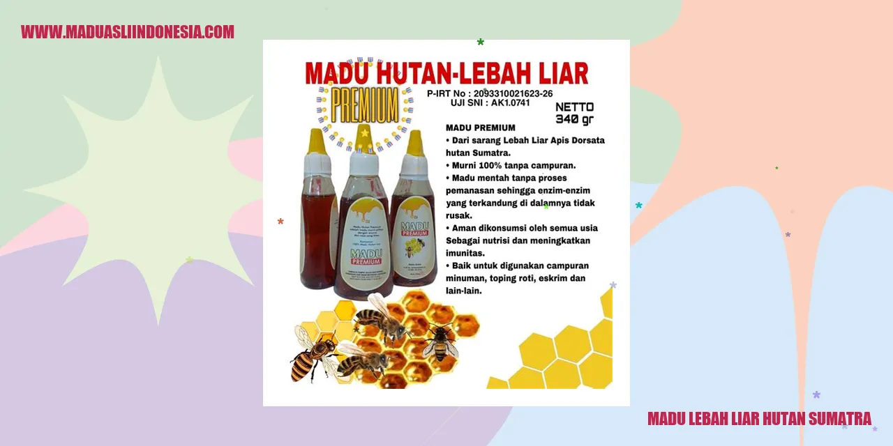 Madu Lebah Liar Hutan Sumatra