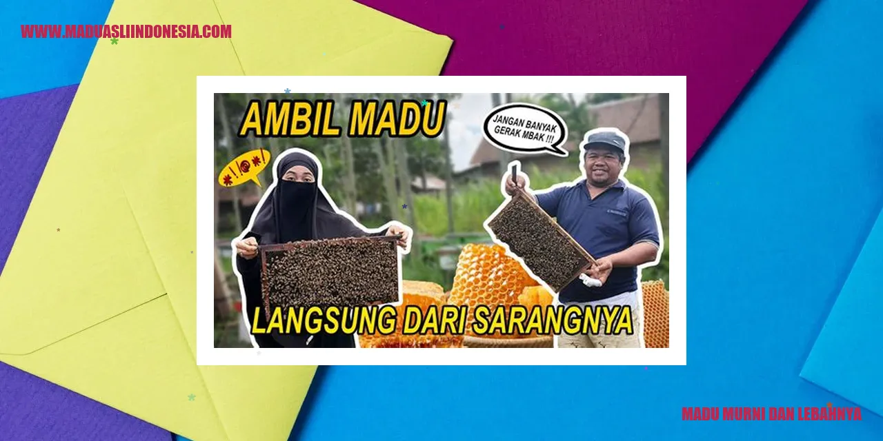madu murni dan lebahnya
