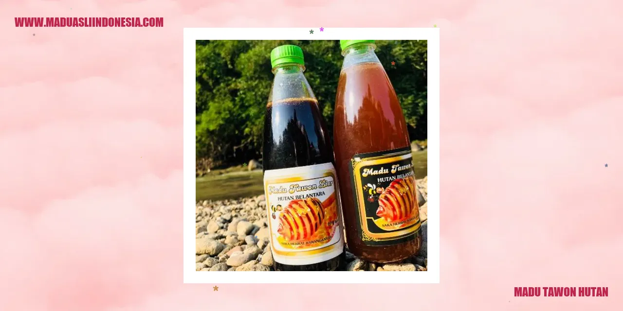 madu tawon hutan