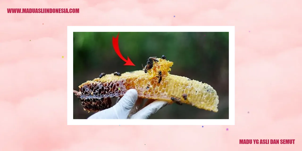 Madu Yg Asli dan Semut Asli