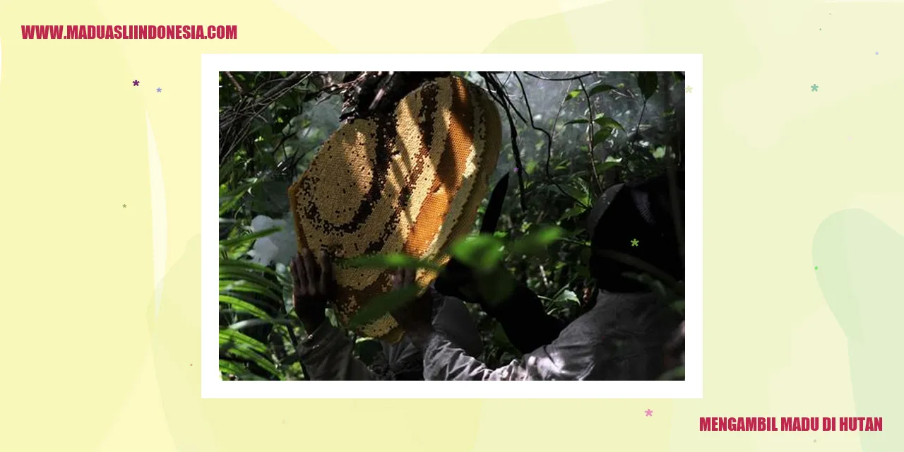 Mengambil madu di hutan
