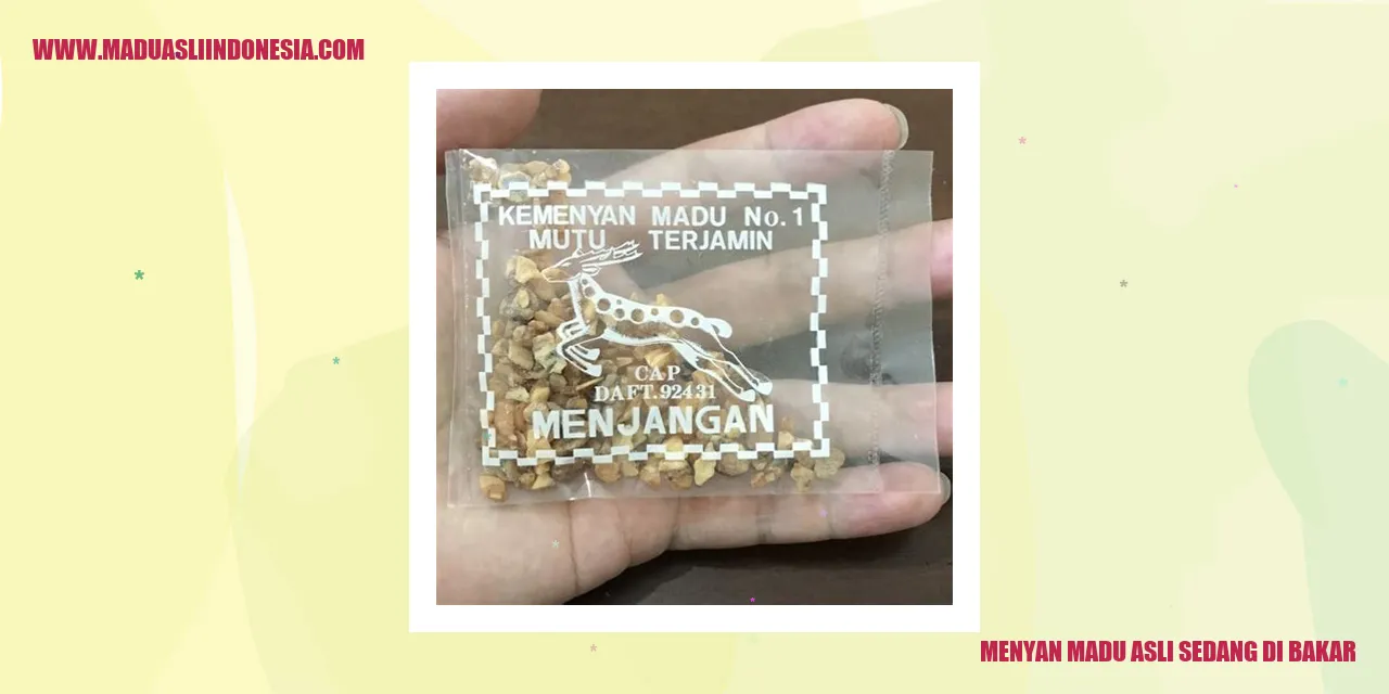 Menyan Madu Asli Sedang di Bakar