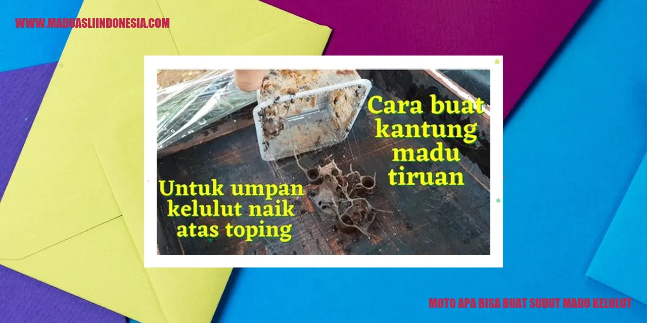 Moto Kayu