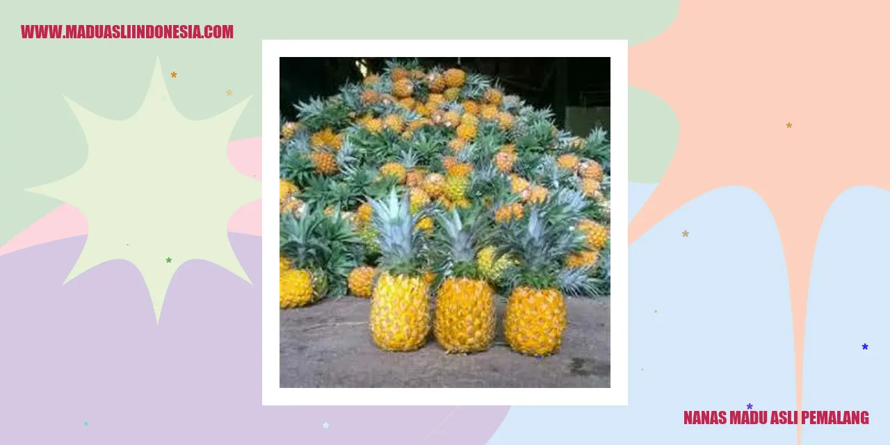 nanas madu asli pemalang