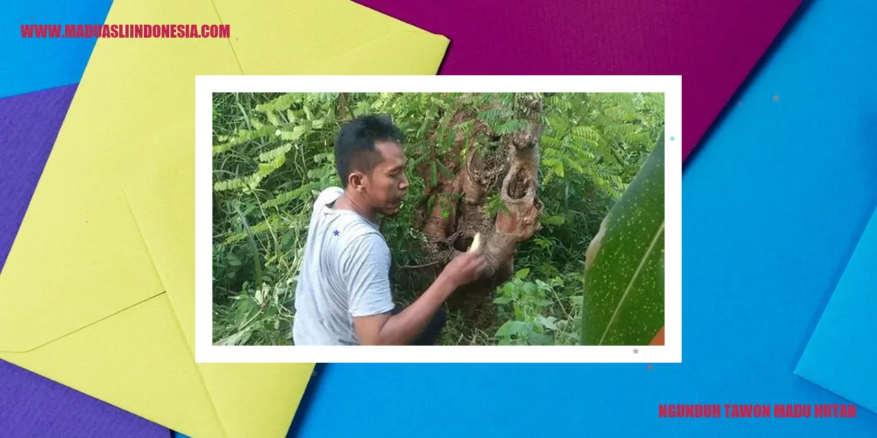 Ngunduh Tawon Madu Hutan