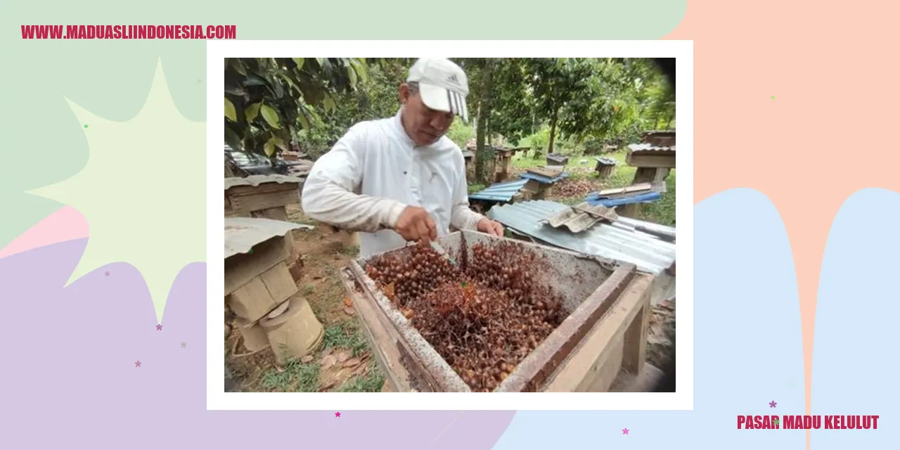 Gambar Pasar Madu Kelulut