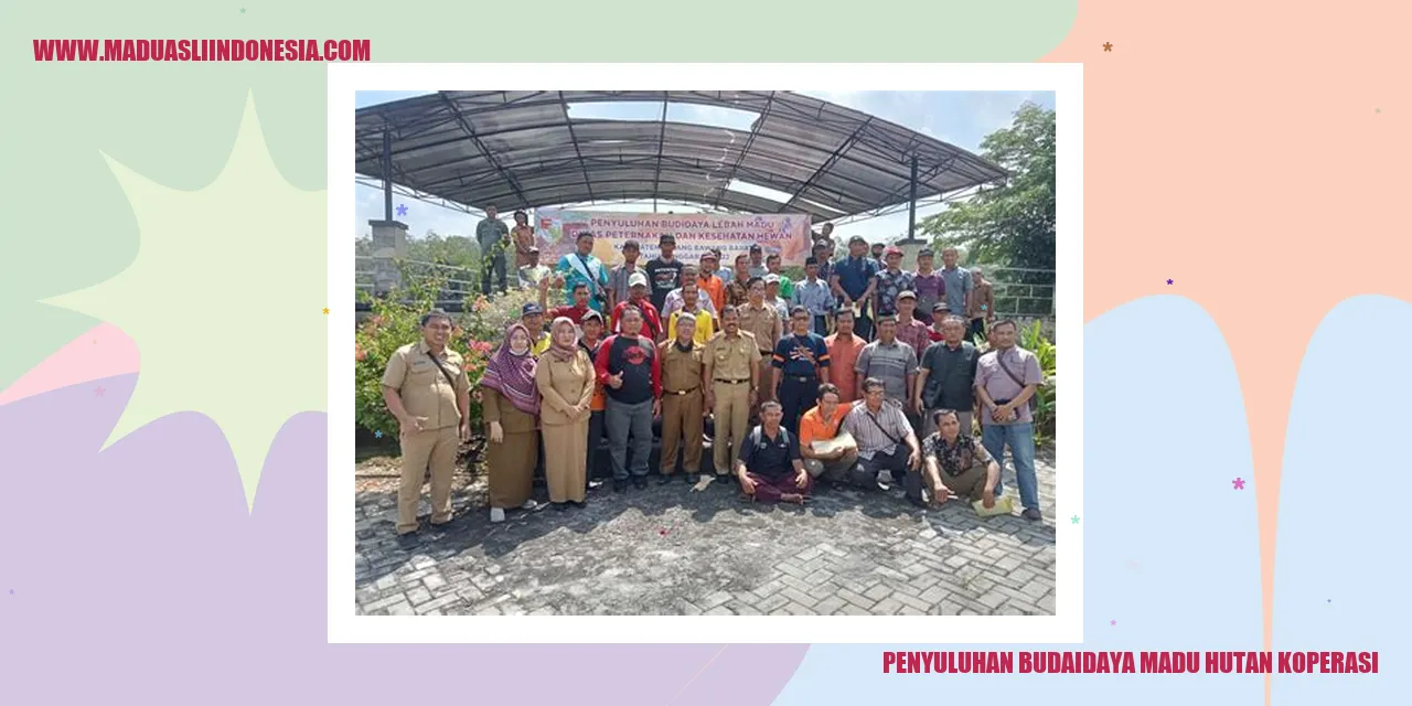 Penyuluhan Budidaya Madu Hutan Koperasi