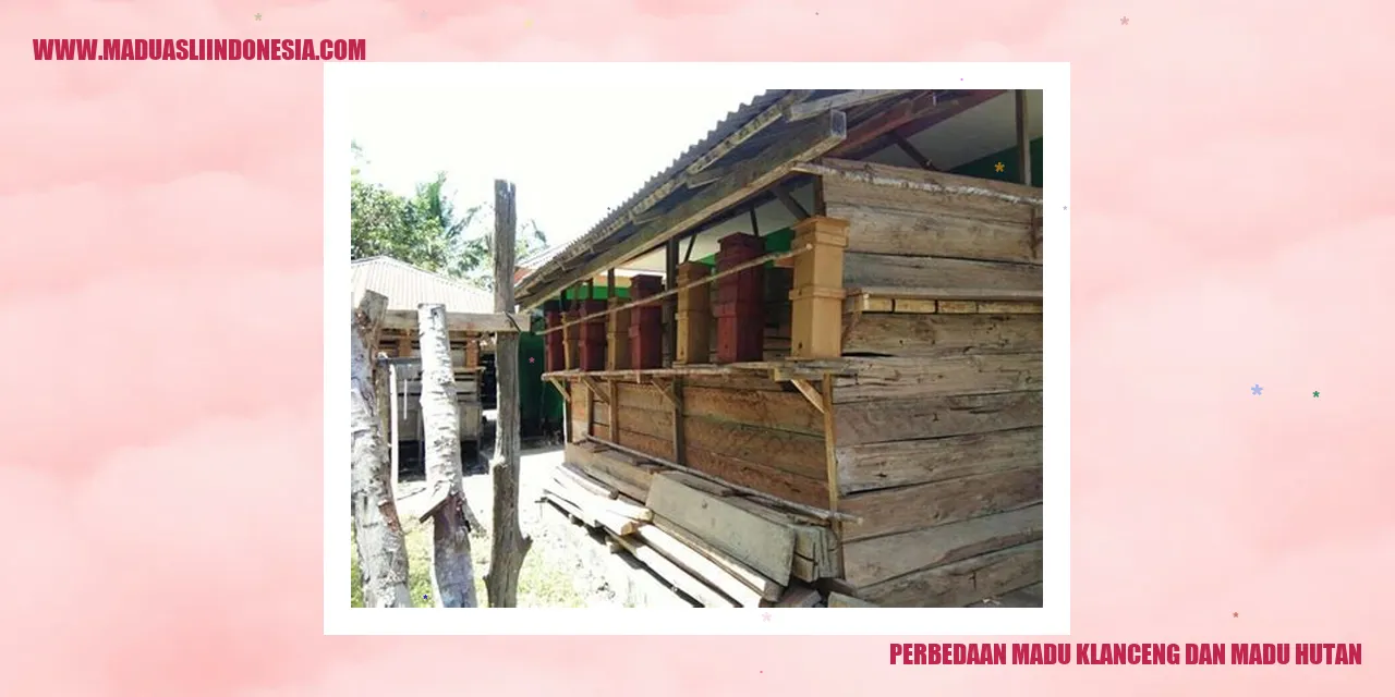 perbedaan madu klanceng dan madu hutan