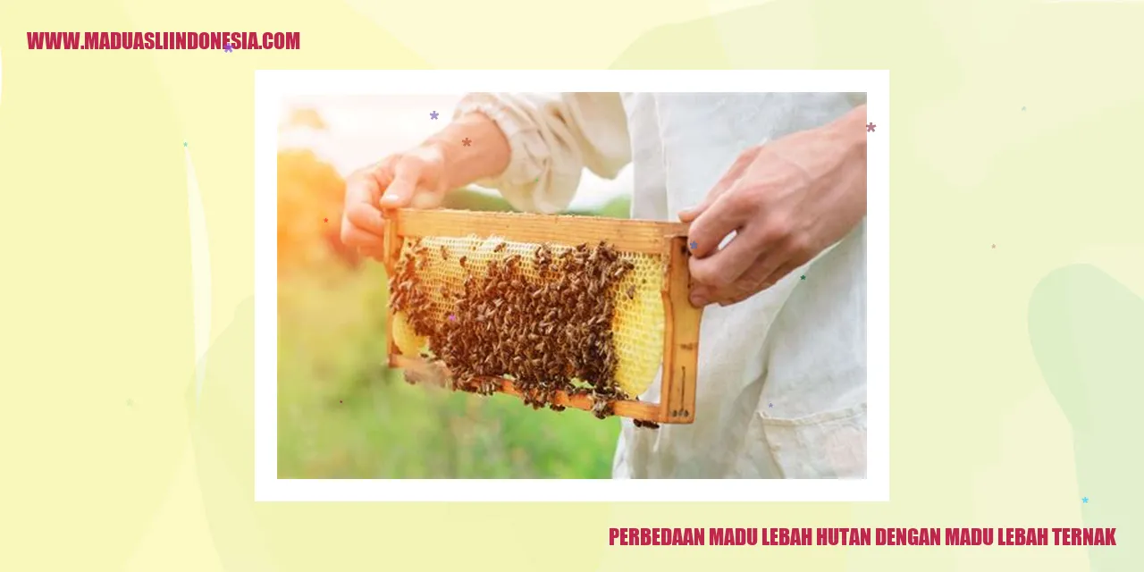 Perbedaan Madu Lebah Hutan dengan Madu Lebah Ternak