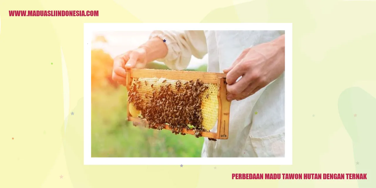 Perbedaan Madu Tawon Hutan dengan Ternak