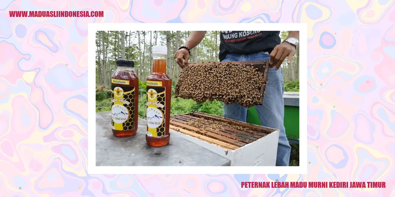 peternak lebah madu murni kediri jawa timur