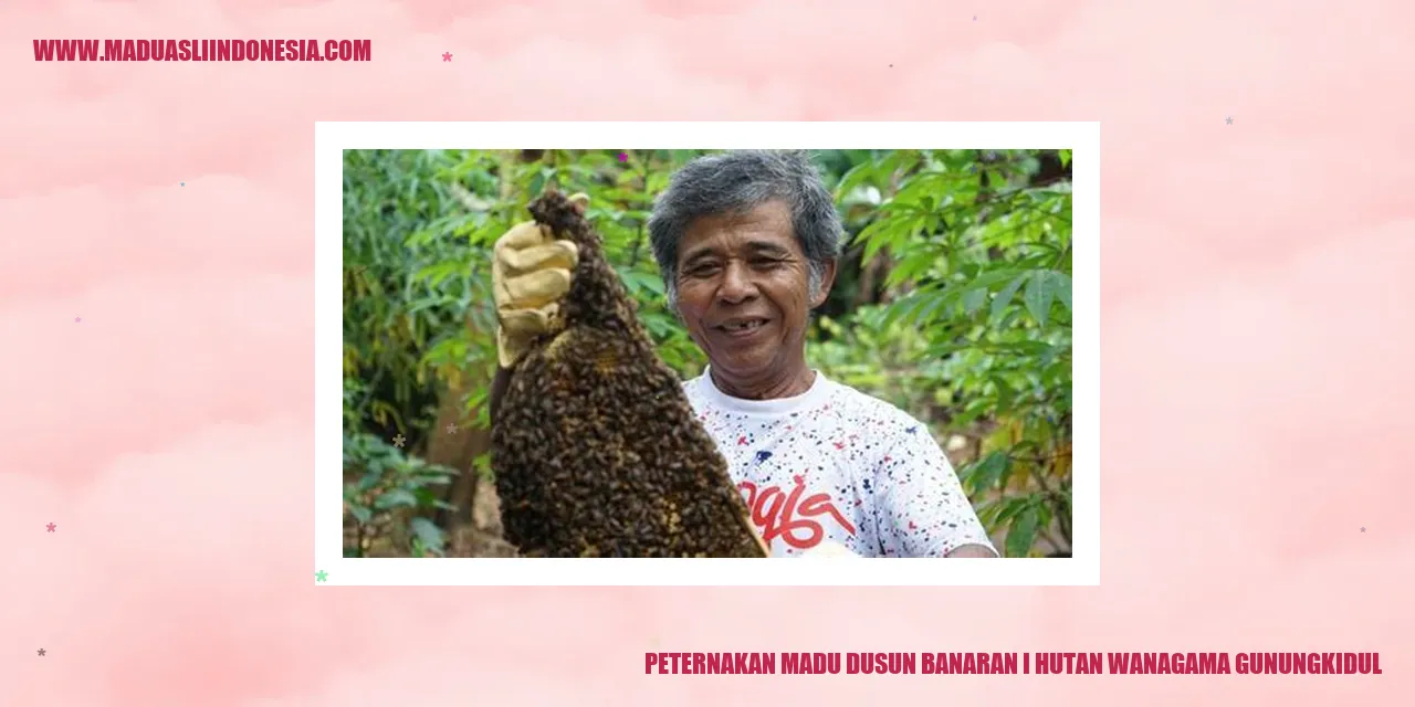 Peternakan Madu Dusun Banaran I Hutan Wanagama Gunungkidul