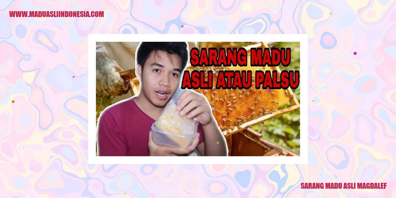 sarang madu asli magdalef