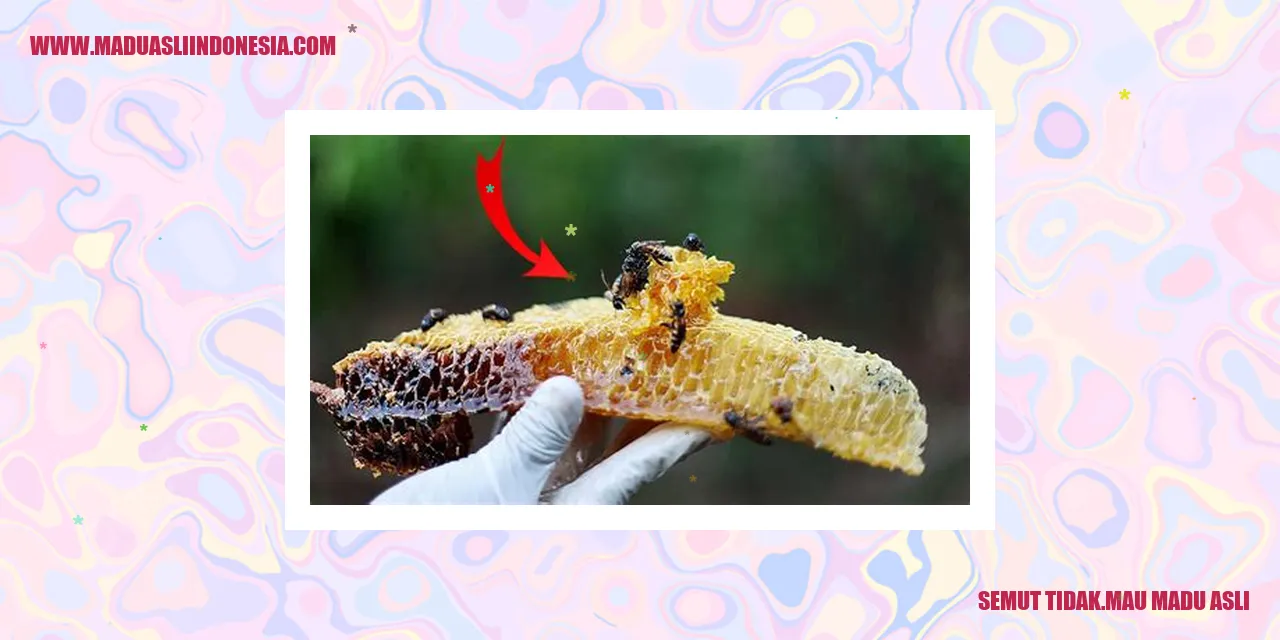 semut tidak mau madu asli