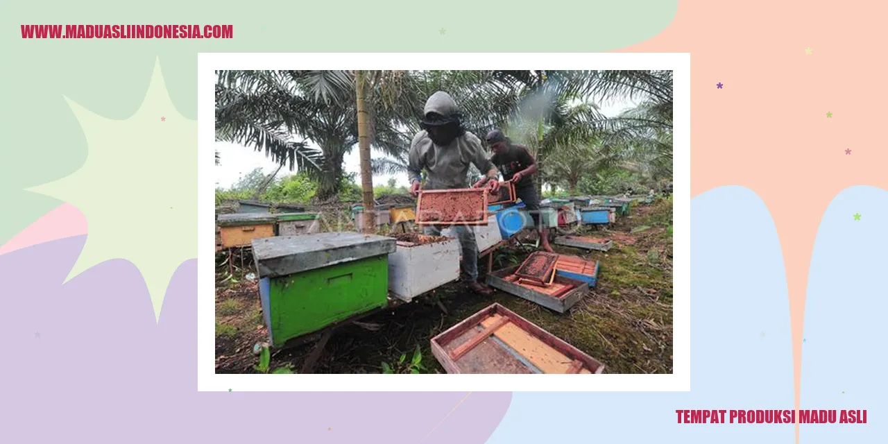 tempat produksi madu asli