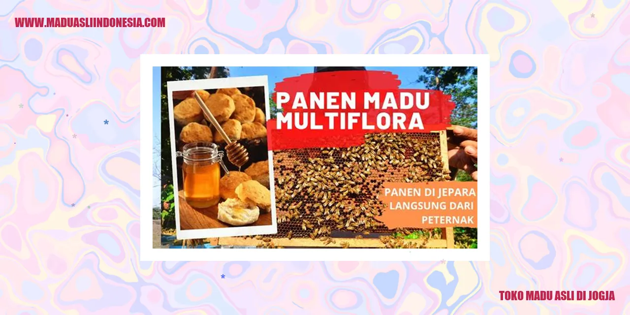 Toko Madu Asli di Jogja